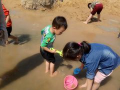 -青枫公园