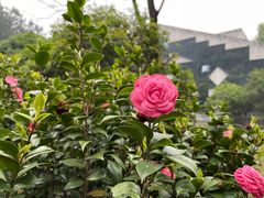 -Club Med地中海俱乐部·桂林度假村