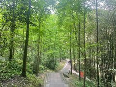 -凤栖山