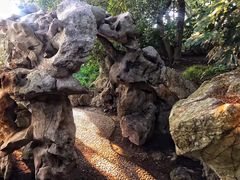 -叶家花园