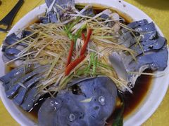 -煲来饱去冷水鱼