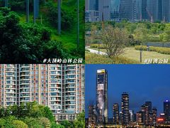 -四海公园(南山区)