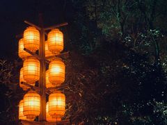 门面-绿茶餐厅(龙井船宴· 品牌总店)