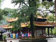 -普陀山风景名胜区-法雨禅寺