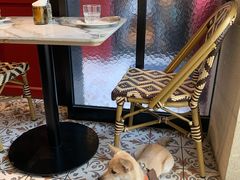 -Grande A'moo(上海万象城店)