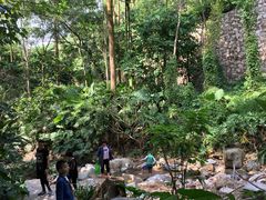 景点-火炉山森林公园
