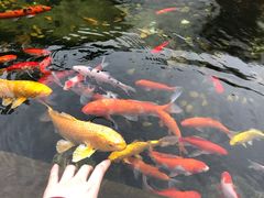 -邊渡咖啡