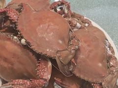 -渔码头食府(蓬莱阁店)