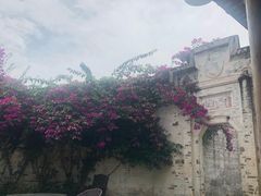 -金谷域澳洲庄园