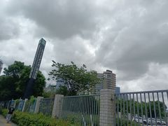 -南方医科大学深圳医院