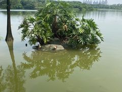 -海珠湖公园