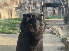 -杭州野生动物世界