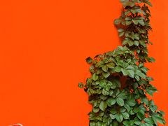 -Catch Bagel(芳草地店)