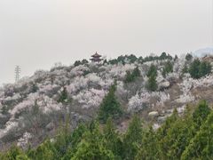 -白水寺森林公园
