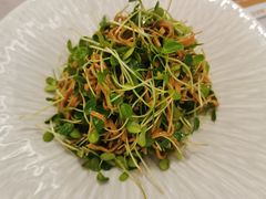 香椿苗拌豆腐丝-喜鼎海胆水饺(平安金融中心店)