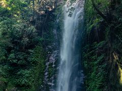 -莫里热带雨林景区