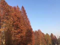 -白塘生态植物园