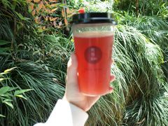 -炖物24章·顺时轻养茶(杭州大厦店)