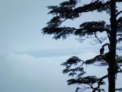 -瓦屋山景区