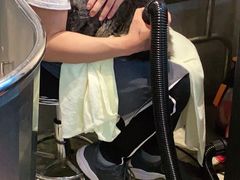 -PETKIT小佩宠物·低压洗护(国顺东路店)