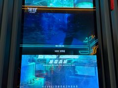-屋有岛沉浸游戏旗舰店(中山公园店)