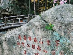 -王顺山国家森林公园