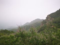 -阳台山自然风景区