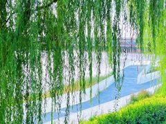 -渭河城市绿地运动公园