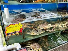 -蚝专家(北滘店)