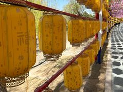 -青龙湖公园