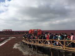 -红海滩国家风景廊道