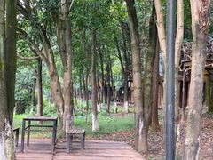 -象山森林公园