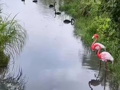 -雅达·阳羡溪山小镇中心