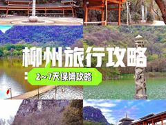 -西环肥仔螺蛳粉(总店)