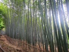 -杭州黄龙洞