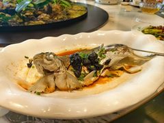 榄角蒸鳊鱼-聚福宝合苑食府(南头镇店)