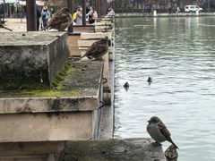 -丽池公园