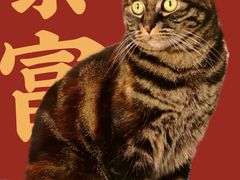 -中福百货(望京店)