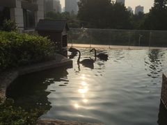 -行者书屋大堂吧 ·下午茶(南京圣和府邸酒店)