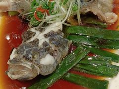 -新南华大酒店(广中店)