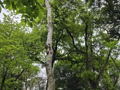 -柳侯公园
