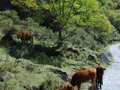 景点-互助北山国家地质公园漂流