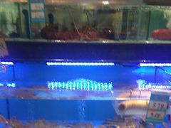-阿伟海鲜楼·福建菜(延寿店)