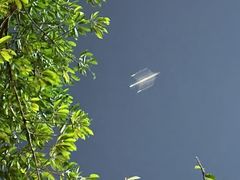 -深圳湾公园(南山区)