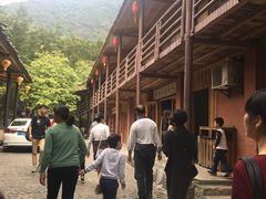 -天门沟九州驿站树上汤泉