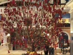 -深圳威尼斯英迪格酒店