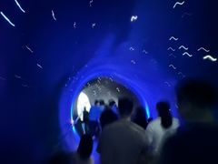 -广东科学中心