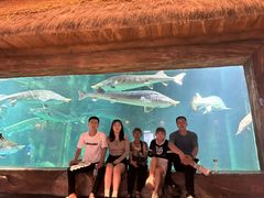 -华夏文旅海洋公园