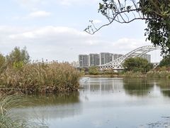 -澹台湖公园