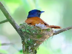 -桤木河湿地公园